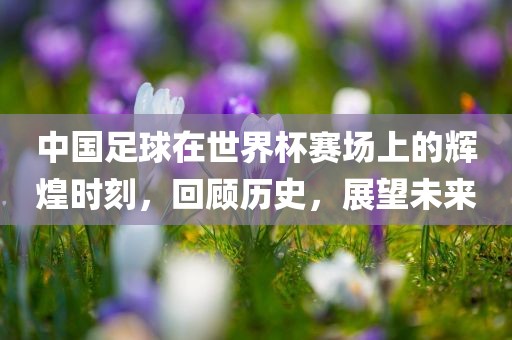 中国足球在世界杯赛场上的辉煌时刻，回顾历史，展望未来