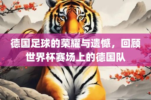 德国足球的荣耀与遗憾，回顾世界杯吉安市靖泰电力工程有限公司赛场上的德国队