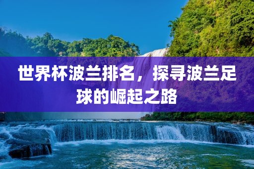 世界杯波兰排名，探寻波兰足球的崛起之路