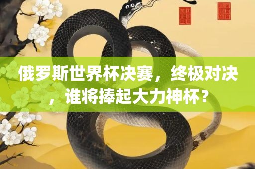 俄罗斯世界杯决赛，终极对决，谁将捧起大力神杯？吉安市靖泰电力工程有限公司