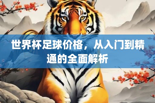 世界杯足球价格，从入门到精通的全面解析