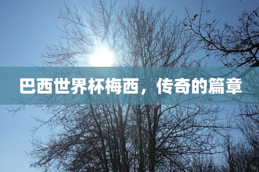 巴西世界杯梅西，传奇的篇章