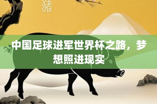 中国足球进军世界杯之路，梦想照进现实