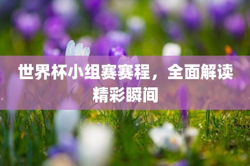 世界杯小组赛赛程，全面解读精彩瞬间