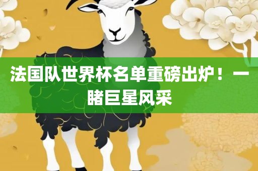 法国队世界杯名单重磅出炉！一睹巨星风采吉安市靖泰电力工程有限公司
