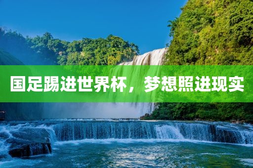 国足踢进世界杯，梦想照进现实