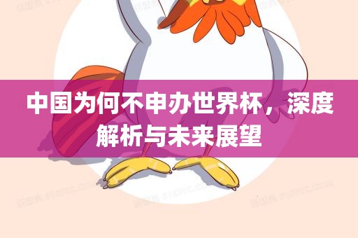 中国为何不申办世界杯，深度解析与未来展望吉安市靖泰电力工程有限公司