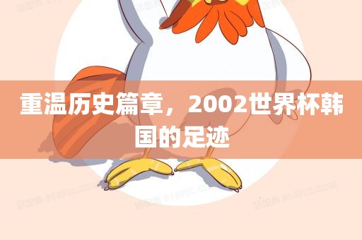 重温历史篇章，2002世界杯韩国的足迹吉安市靖泰电力工程有限公司