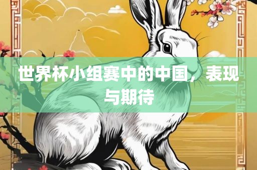 世界杯小组赛中的中国，表现与期待吉安市靖泰电力工程有限公司