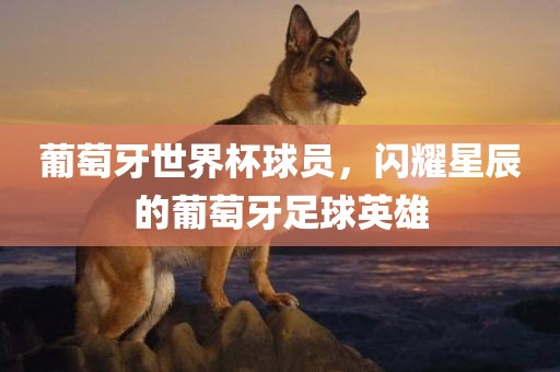 葡萄牙世界杯球员，闪耀星辰的葡萄牙足球英雄