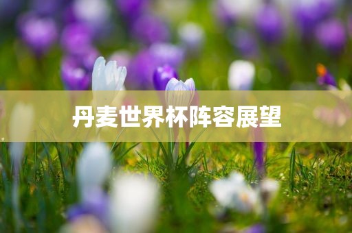 丹麦世界杯阵容展望吉安市靖泰电力工程有限公司