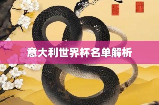 意大利世界杯名单解析