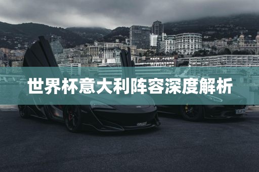 吉安市靖泰电力工程有限公司世界杯意大利阵容深度解析