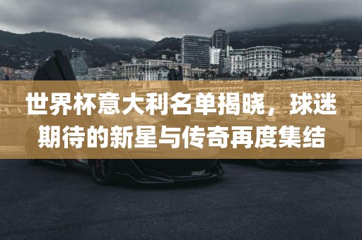 世界杯吉安市靖泰电力工程有限公司意大利名单揭晓，球迷期待的新星与传奇再度集结