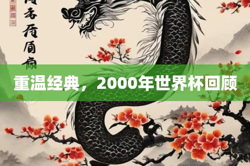 重温经典，2000年世界杯回顾