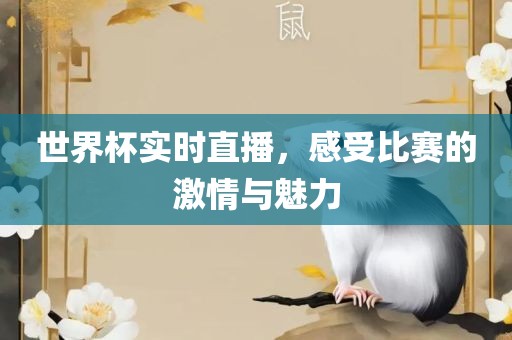 世界杯实时直播，感受比赛的激情与魅力吉安市靖泰电力工程有限公司