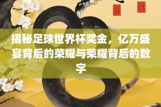 揭秘足球世界杯奖金，亿万盛宴背后的荣耀与荣耀背后的数字