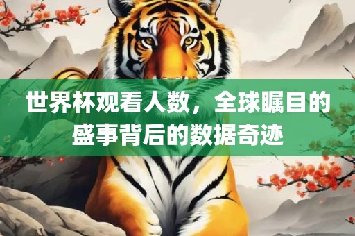 世界杯观看人数，全球瞩目的盛事背后的数据奇迹