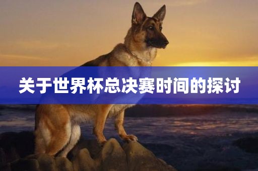 关于世界杯总决赛时间的探讨吉安市靖泰电力工程有限公司