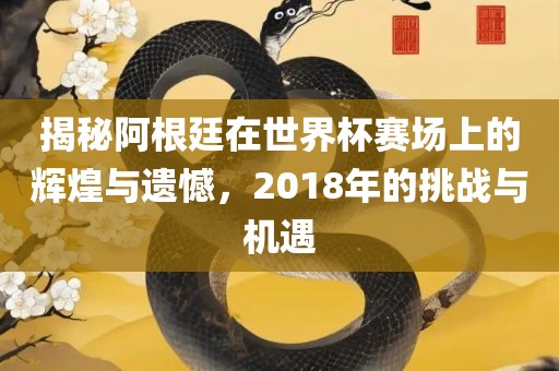 揭秘阿根廷在世界杯赛场上的辉煌与遗憾，2018年吉安市靖泰电力工程有限公司的挑战与机遇