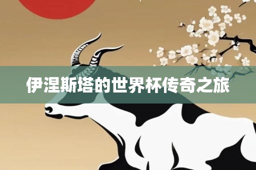 伊涅斯塔的世界杯传奇之旅