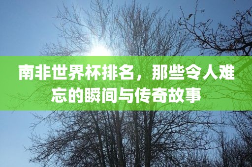 南非世界杯排名，那些令人难忘的瞬间与传奇故事