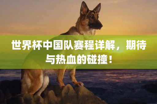 世界杯中国队赛程详解，期待与热血的碰撞！