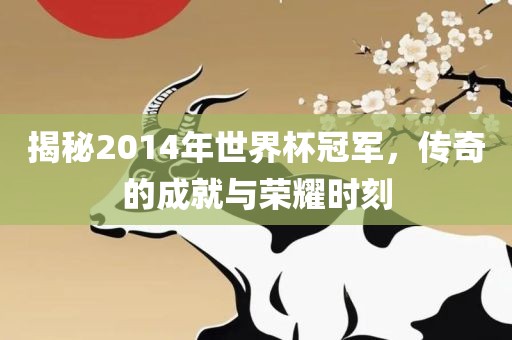 揭秘2014年世界杯冠军，传奇的成就与荣耀时刻吉安市靖泰电力工程有限公司