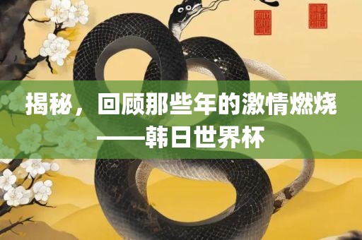 揭秘，回顾那些年的激情燃烧——韩日世界杯