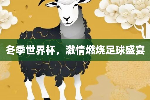 足球盛宴 第9页