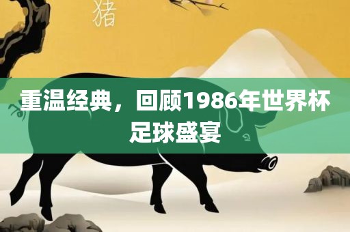 重温经典，回顾1986年世界杯足球盛宴