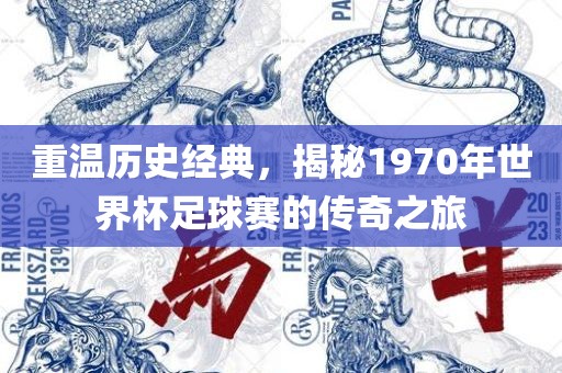 重温历史经典，揭秘1970年世界杯足球赛的传奇之旅吉安市靖泰电力工程有限公司