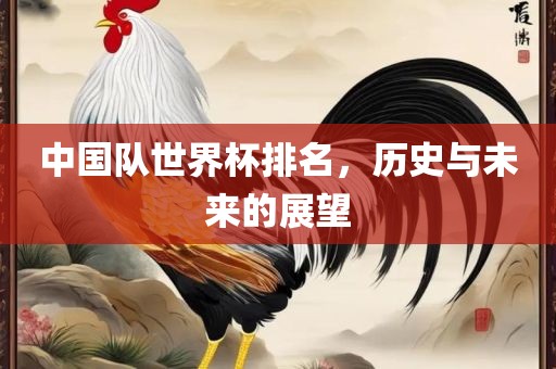 吉安市靖泰电力工程有限公司中国队世界杯排名，历史与未来的展望