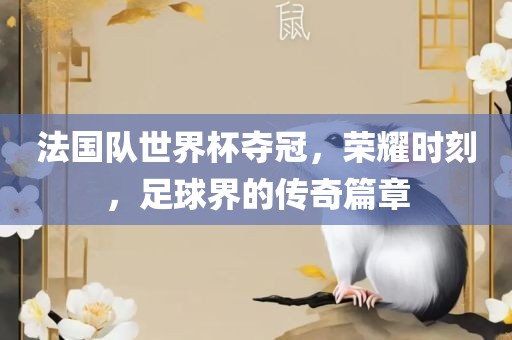 法国队世界杯夺冠，荣耀时刻，足球界的传奇篇章