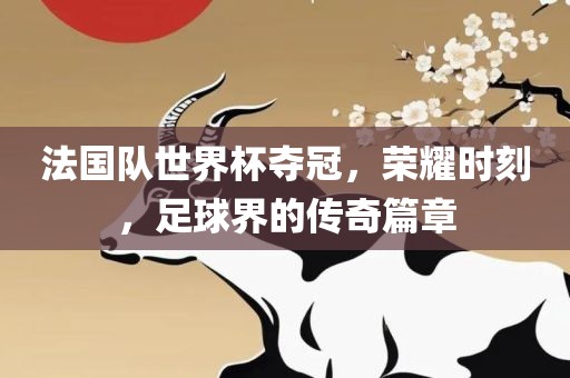 法国队世界杯夺冠，荣耀时刻，足球界的传奇篇章