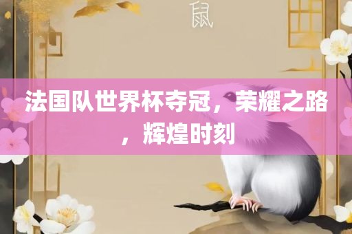 法国队世界杯夺冠，荣耀之路，辉煌时刻