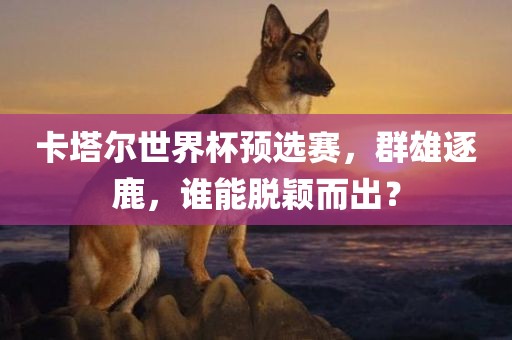 卡塔尔世界杯预选赛，群雄逐鹿，谁能脱颖而出？