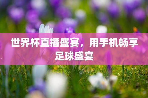 世界杯直播盛宴，用手机畅享足球盛宴吉安市靖泰电力工程有限公司