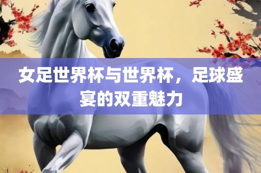 女足世界杯与世界杯，足球盛宴的双重魅力吉安市靖泰电力工程有限公司