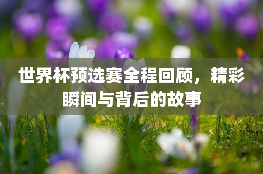 世界杯预选赛全程回顾，精彩瞬间与背后的故事吉安市靖泰电力工程有限公司