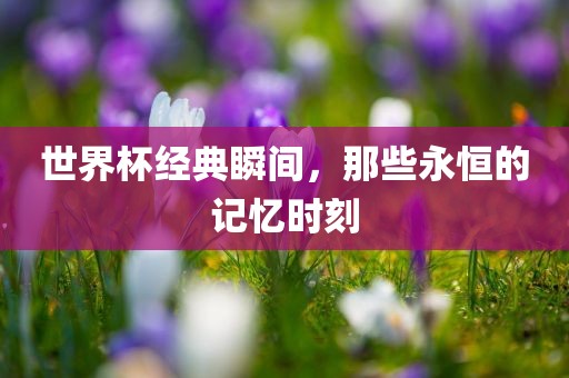世界杯经典瞬间，那些永恒的记忆时刻