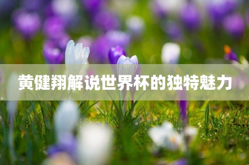 黄健翔解说世界杯的独特魅力吉安市靖泰电力工程有限公司