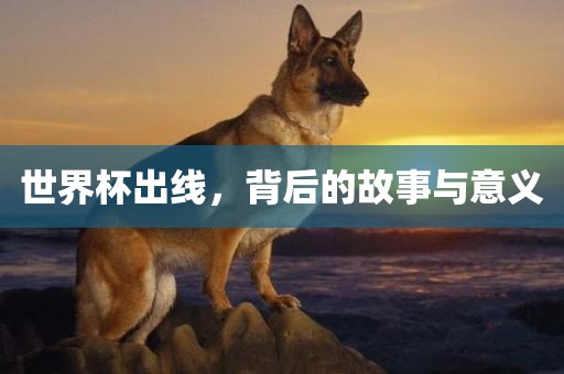 世界杯出线，背后的故事与意义