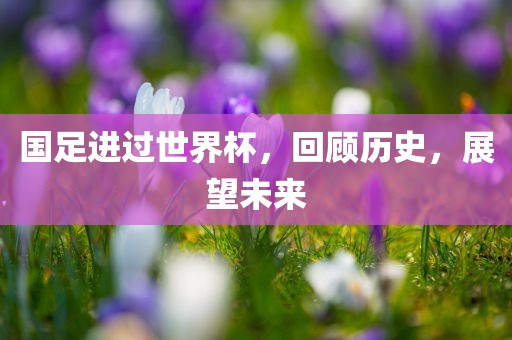 国足进过世界杯，回顾历史，展望未来吉安市靖泰电力工程有限公司