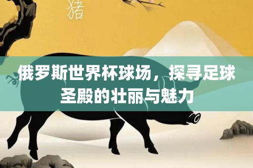 俄罗斯世界杯球场，探寻足球圣殿的壮丽与魅力吉安市靖泰电力工程有限公司