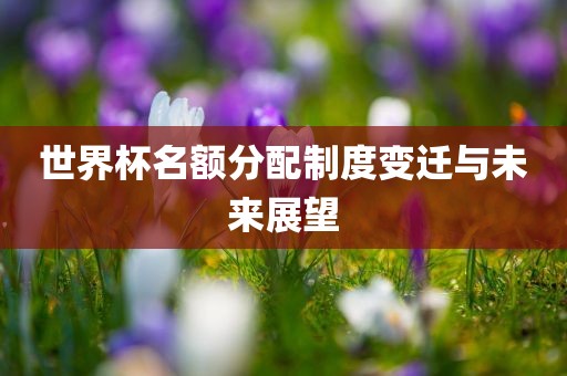 世界杯名额分配制度变迁与未来展望吉安市靖泰电力工程有限公司