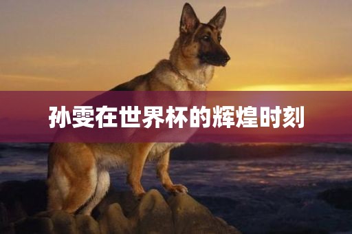 孙雯在世界杯的辉煌时刻