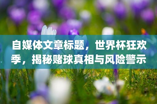 自媒体文章标题，世界杯狂欢季，揭秘赌球真相与风险警示