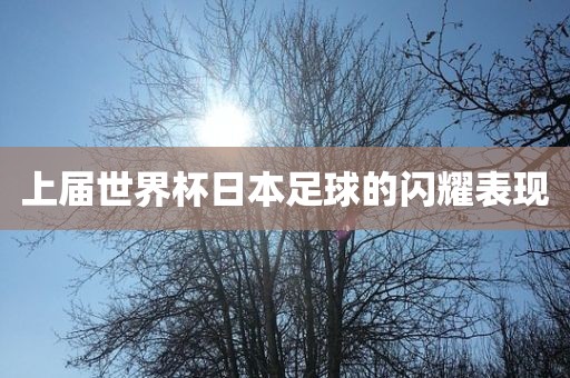 上届世界杯日本足球的闪耀表现