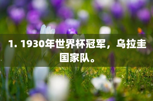 1. 1930年世界杯冠军，乌拉圭国家队。吉安市靖泰电力工程有限公司